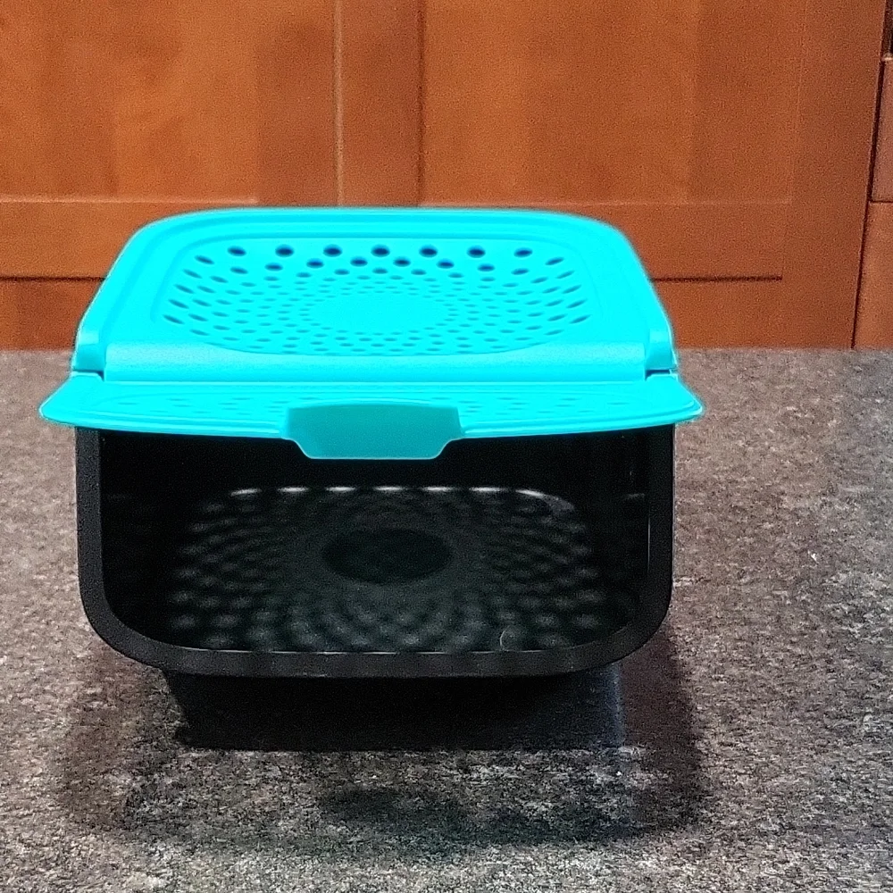 Tupperware Garlic Smart Container - Picture 2 of 4